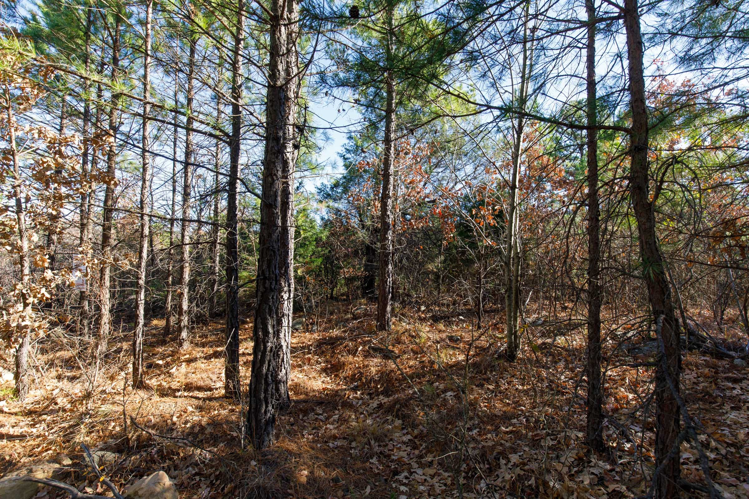 Stone Bridge Phase II Tract 134 photo 7