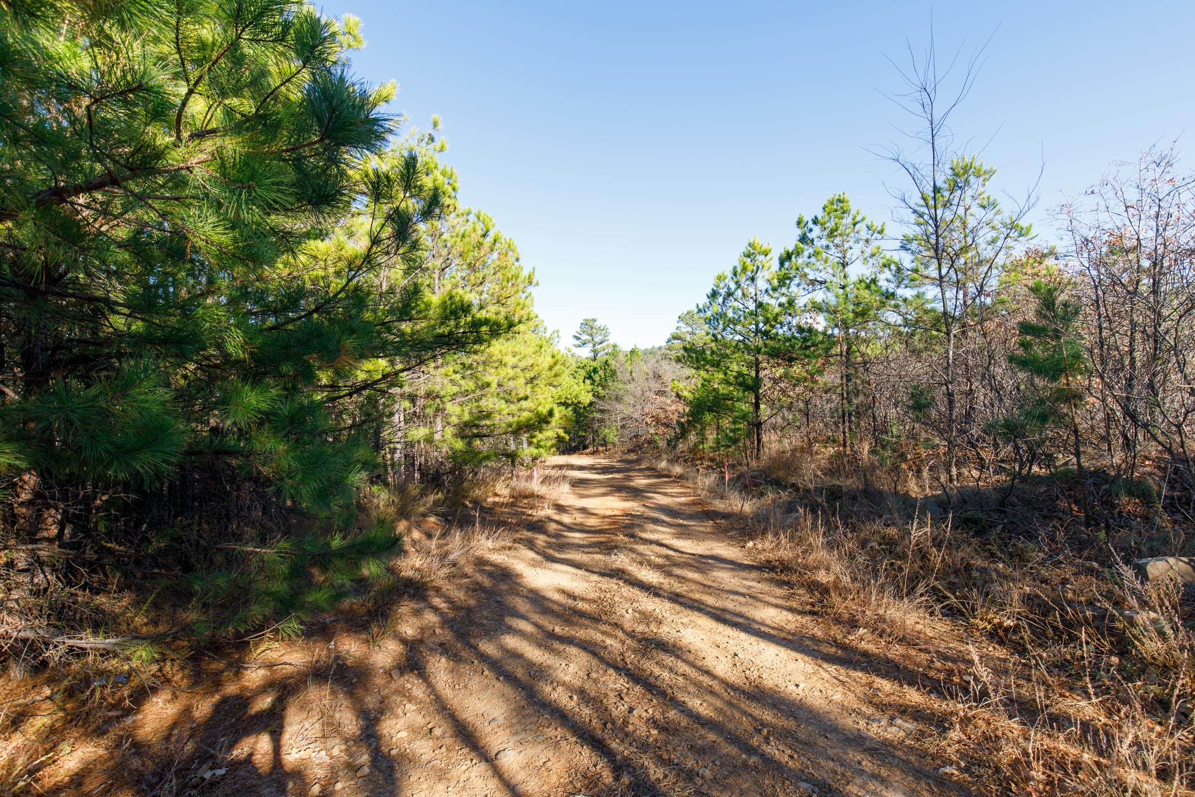 Stone Bridge Phase II Tract 134 photo 5