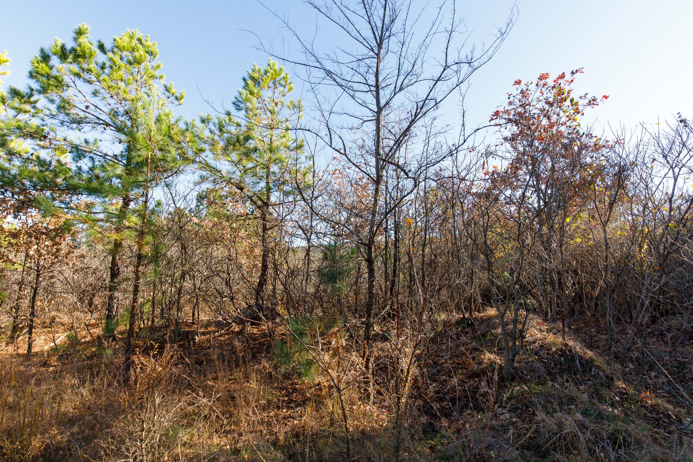 Stone Bridge Phase II Tract 134 photo 8