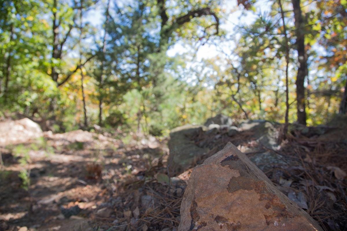 Stone Creek Phase I Tract 105 photo 6