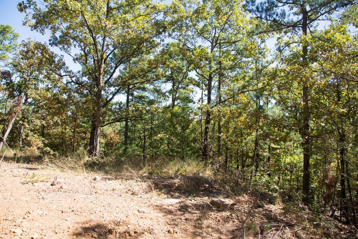 Stone Creek Phase I Tract 105 photo 9