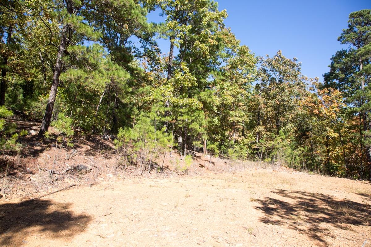 Stone Creek Phase I Tract 105 photo 10