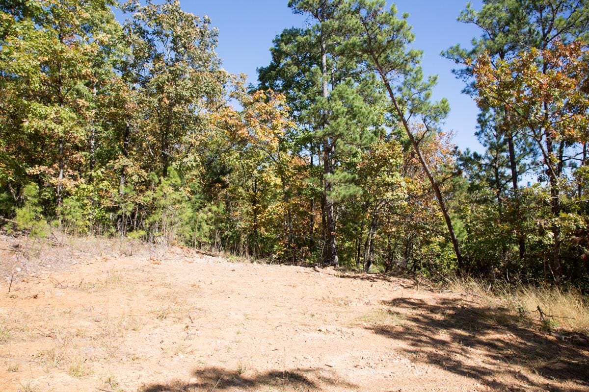 Stone Creek Phase I Tract 105 photo 11