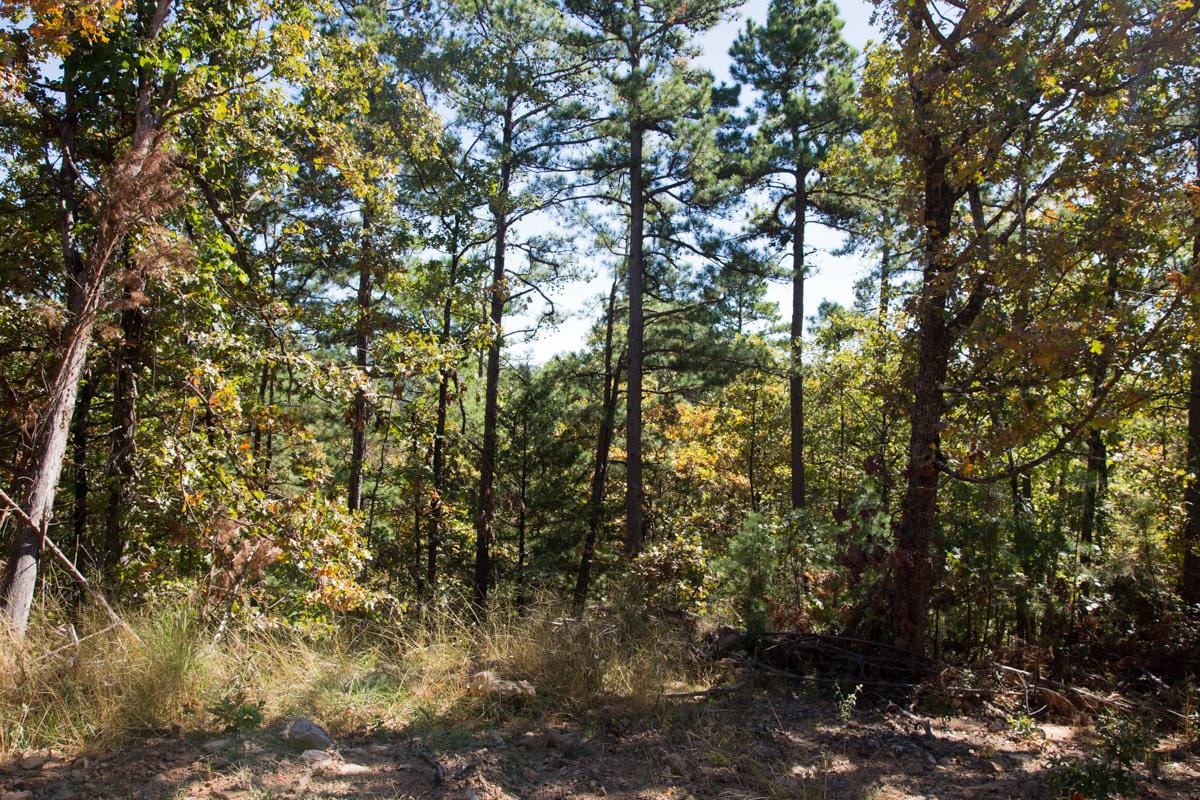 Stone Creek Phase I Tract 105 photo 12