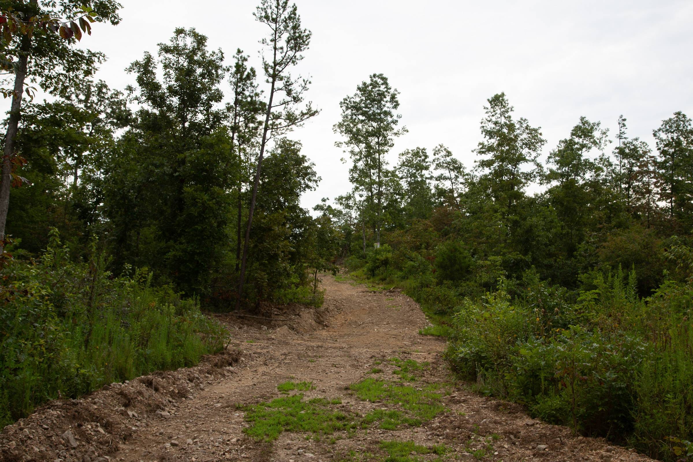 Borgmann’s Hollow Phase II Tract 33 photo 1
