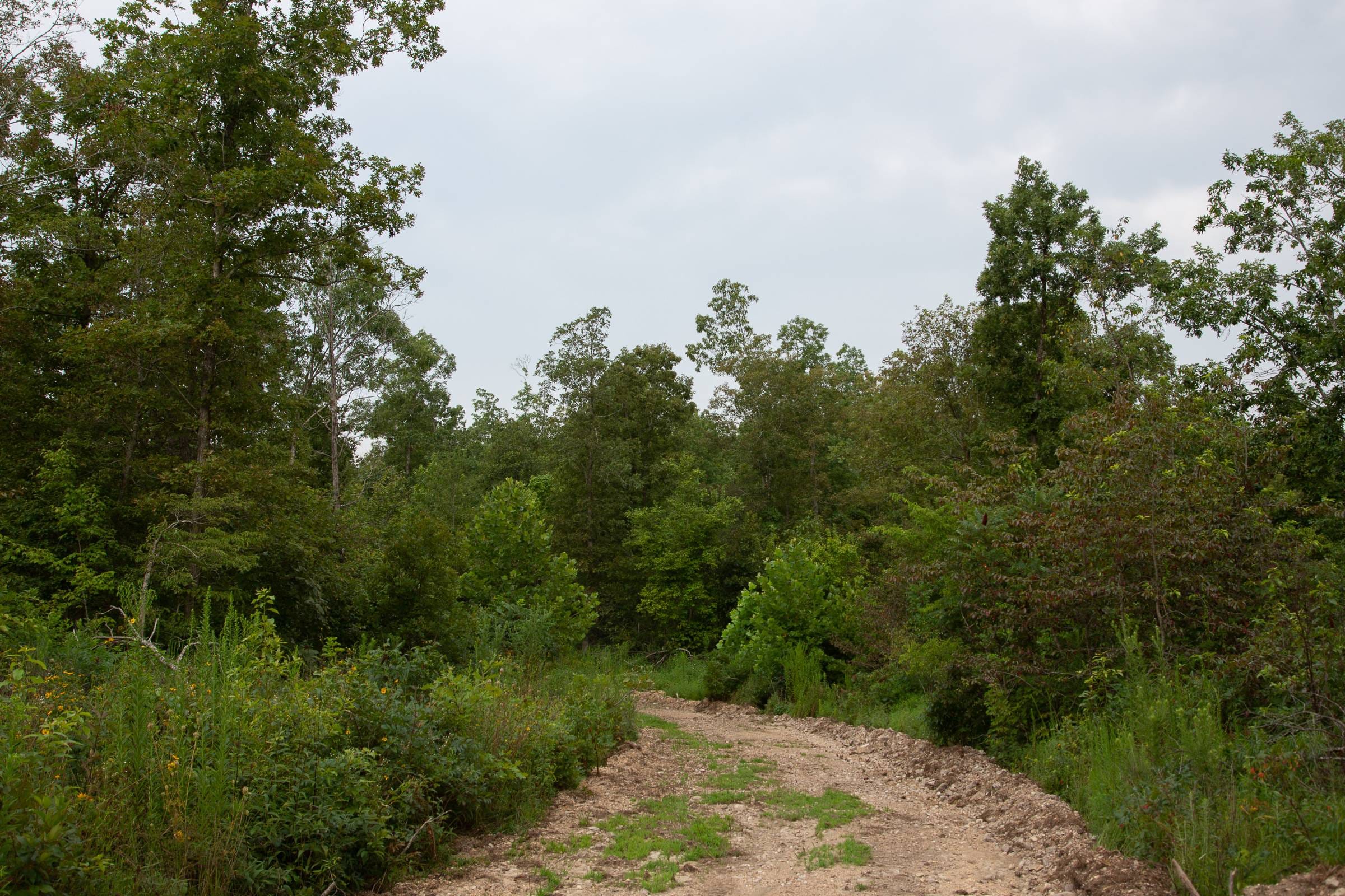 Borgmann’s Hollow Phase II Tract 33 photo 3