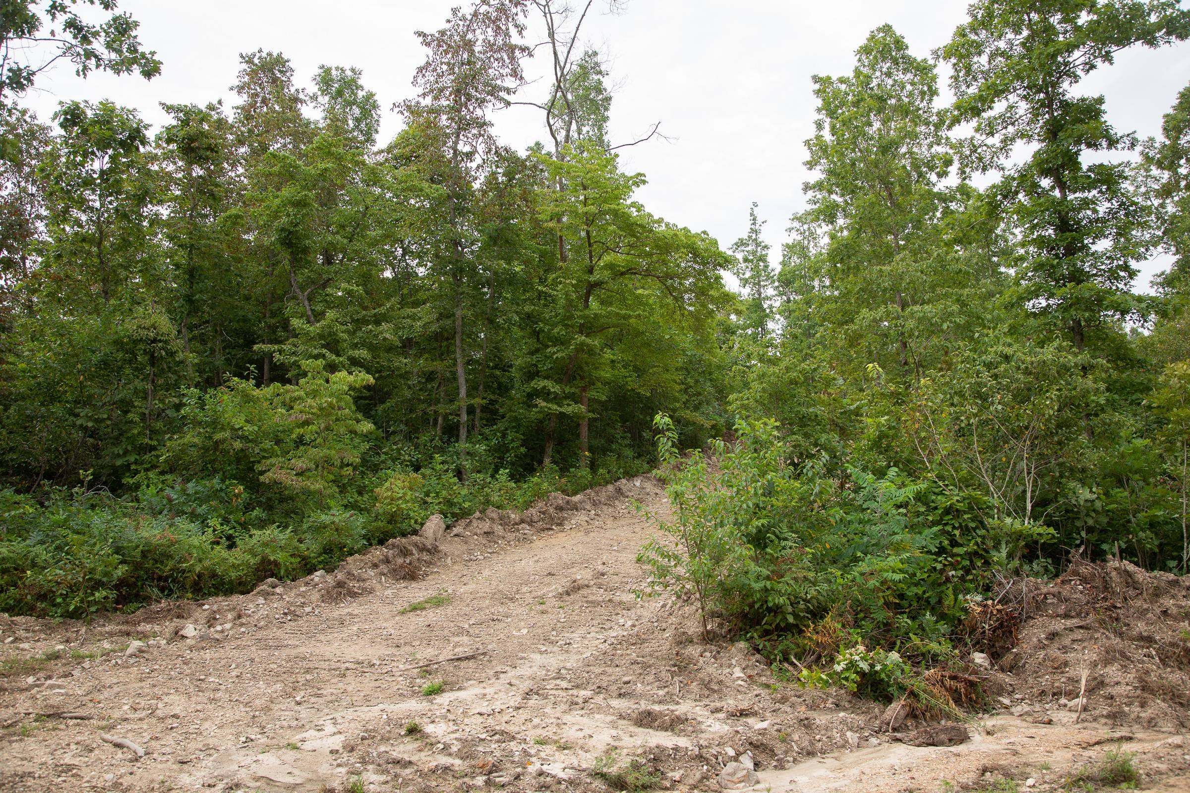 Borgmann’s Hollow Phase II Tract 33 photo 7