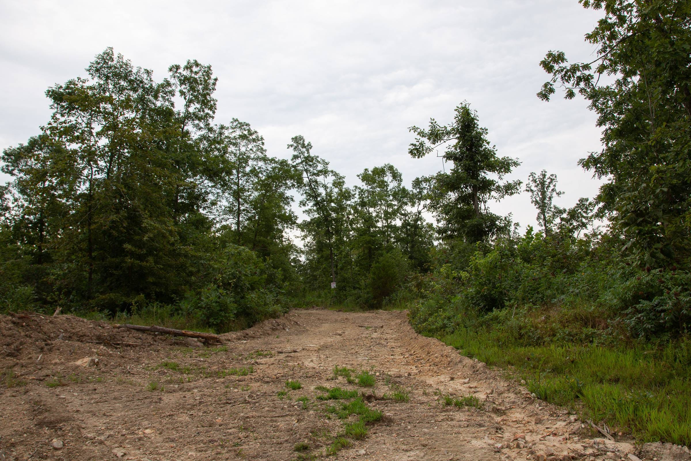 Borgmann’s Hollow Phase II Tract 33 photo 5