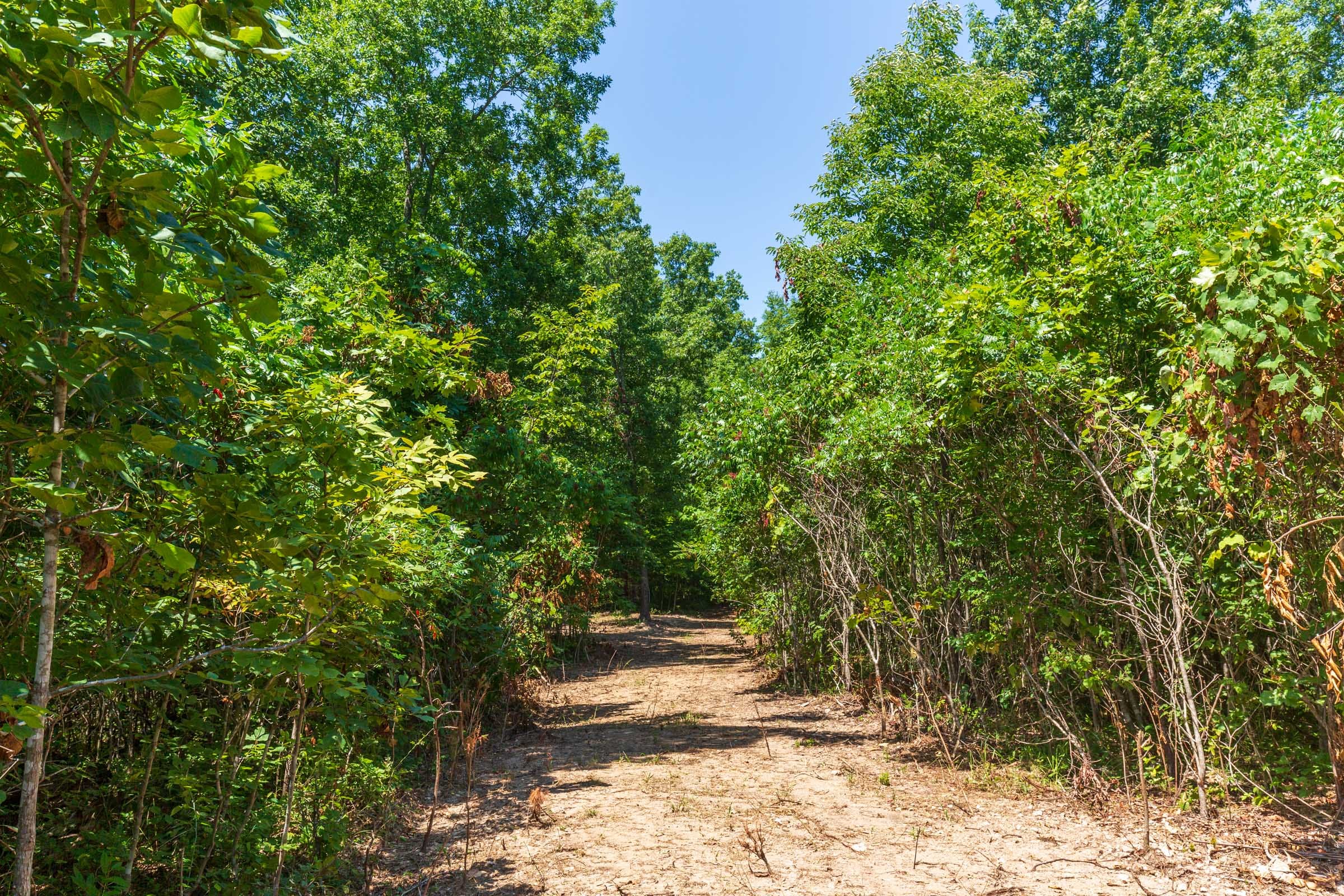 Cypress Ridge Tract 8 photo 3