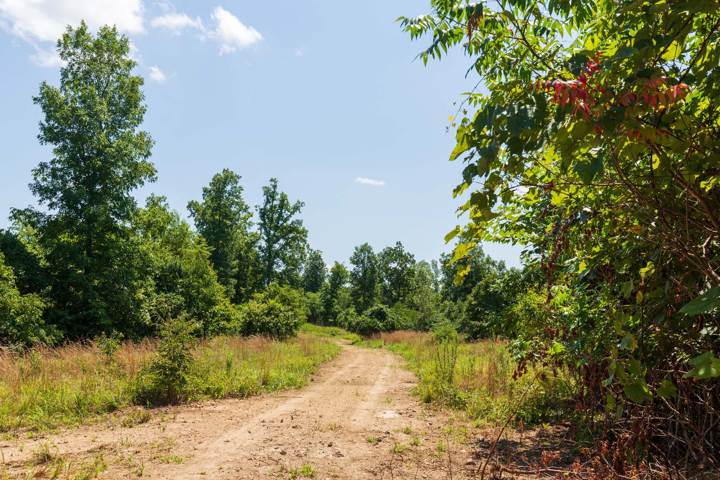 Cypress Ridge Tract 8 photo 1