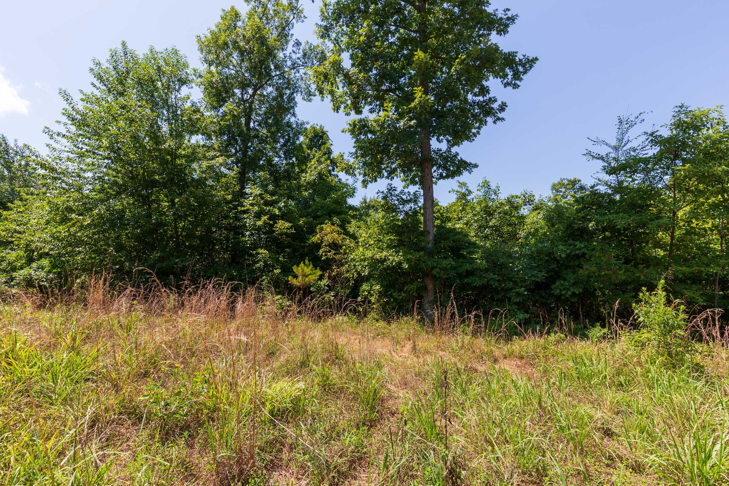 Cypress Ridge Tract 8 photo 2