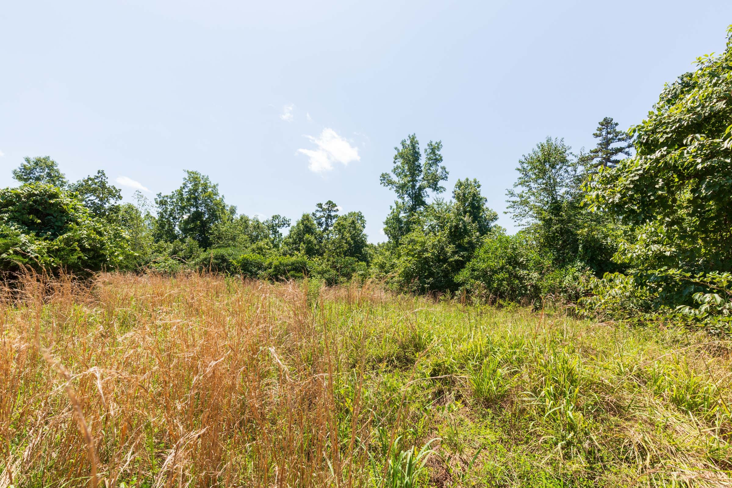 Cypress Ridge Tract 8 photo 4