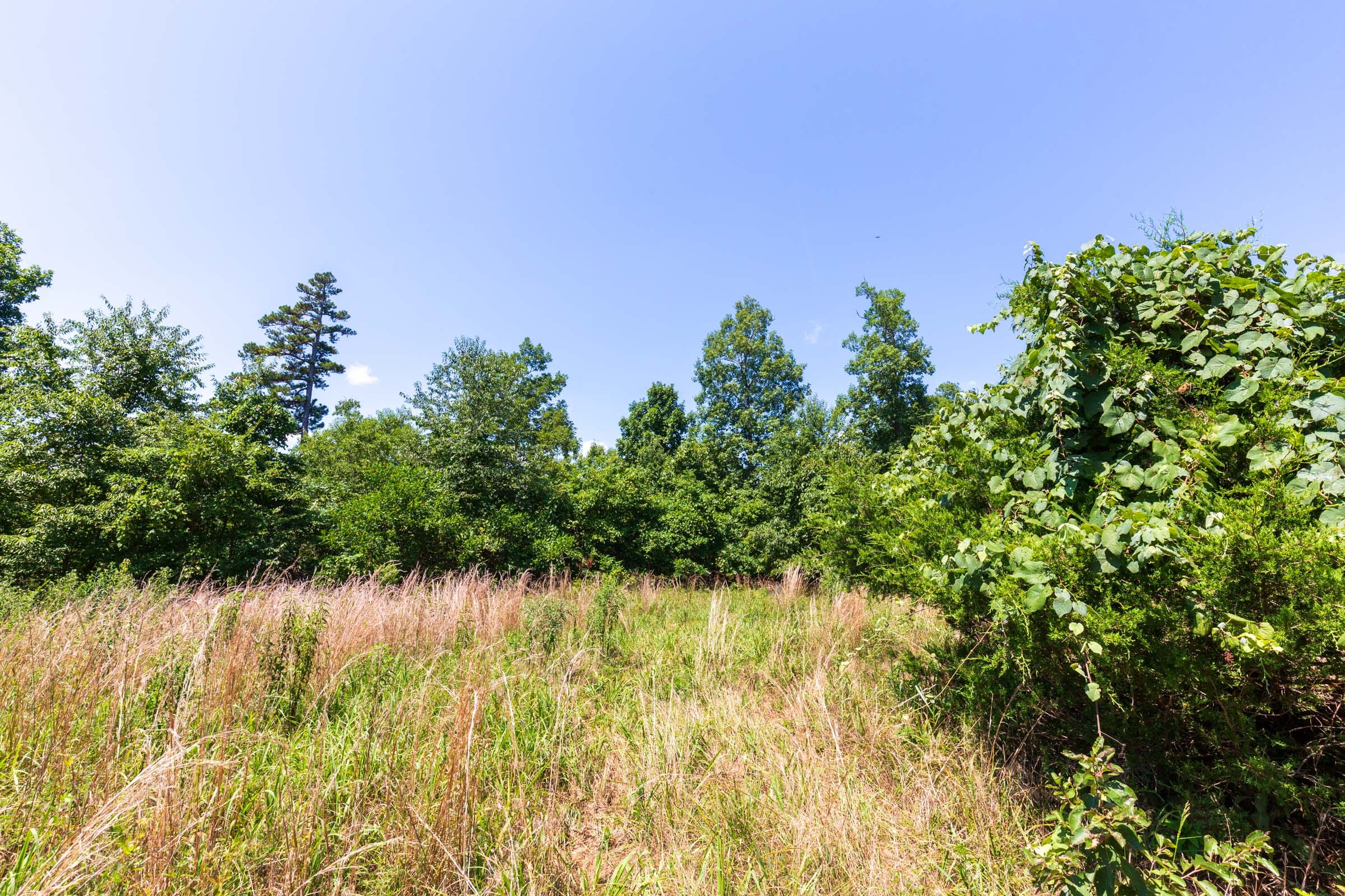 Cypress Ridge Tract 8 photo 6