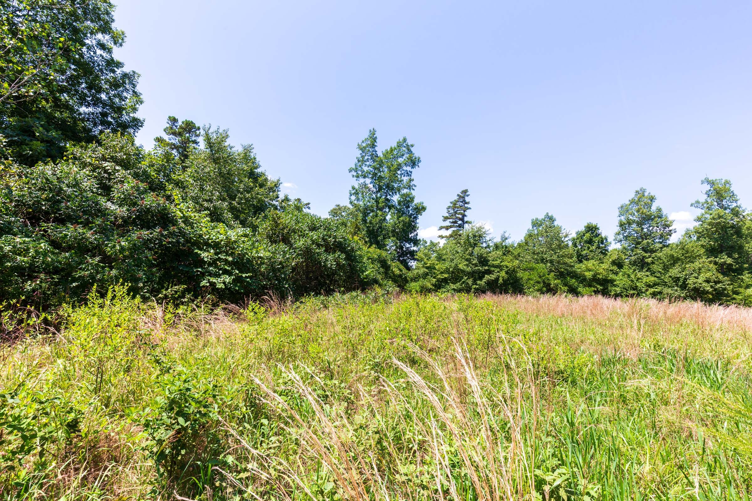 Cypress Ridge Tract 8 photo 8