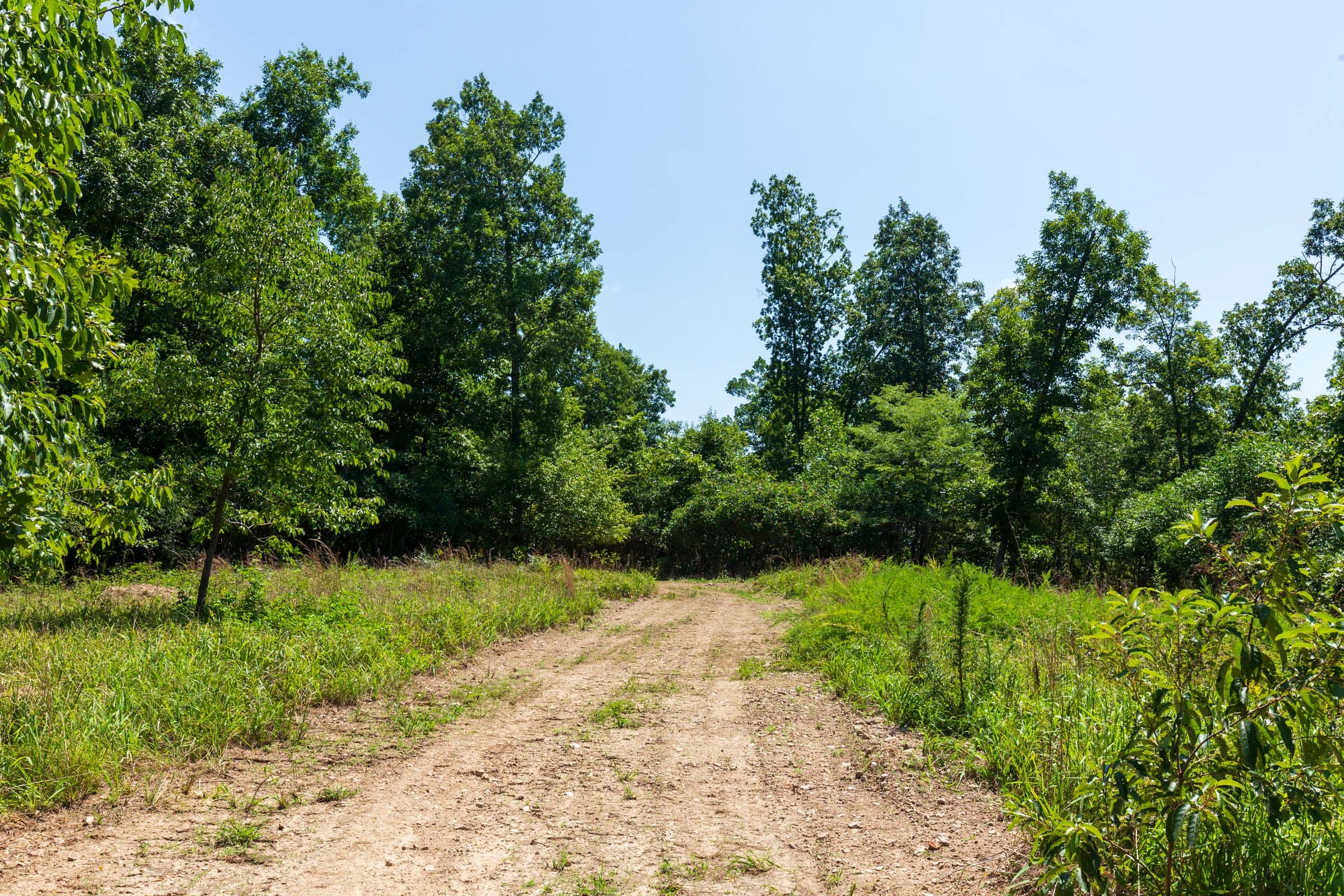 Cypress Ridge Tract 8 photo 5