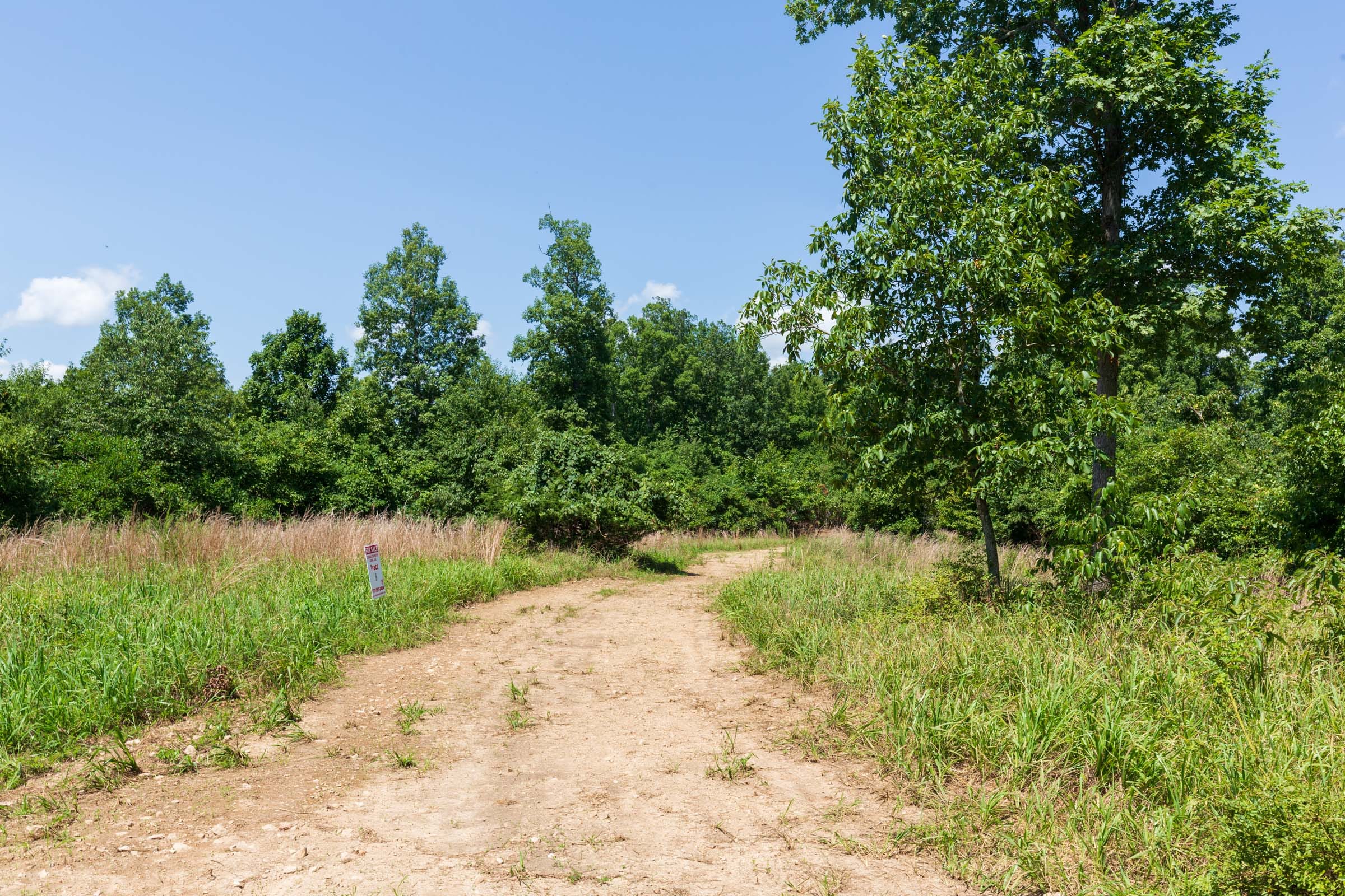 Cypress Ridge Tract 8 photo 7