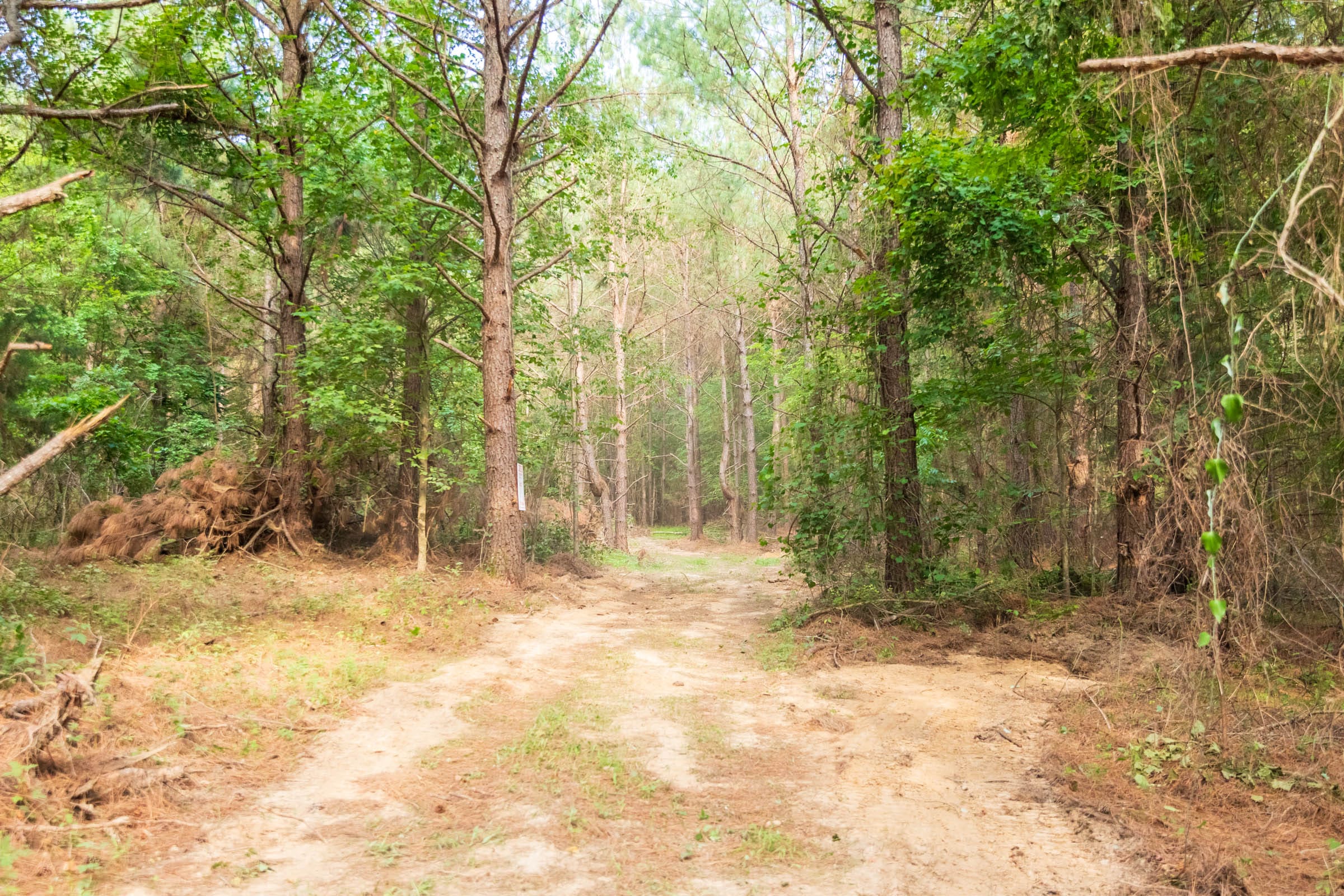 Whiskey Ridge Tract 68 photo 9