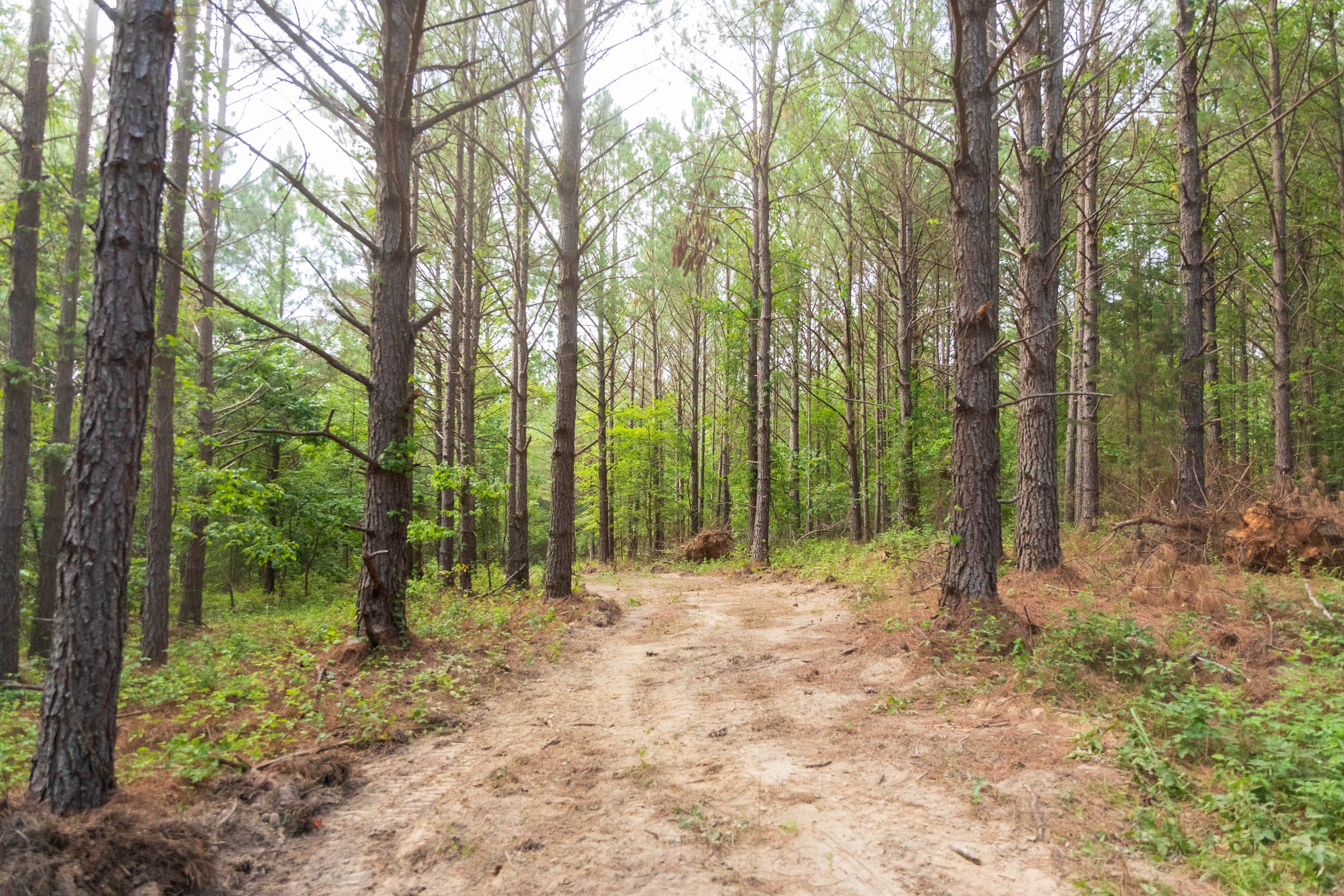 Whiskey Ridge Tract 68 photo 12