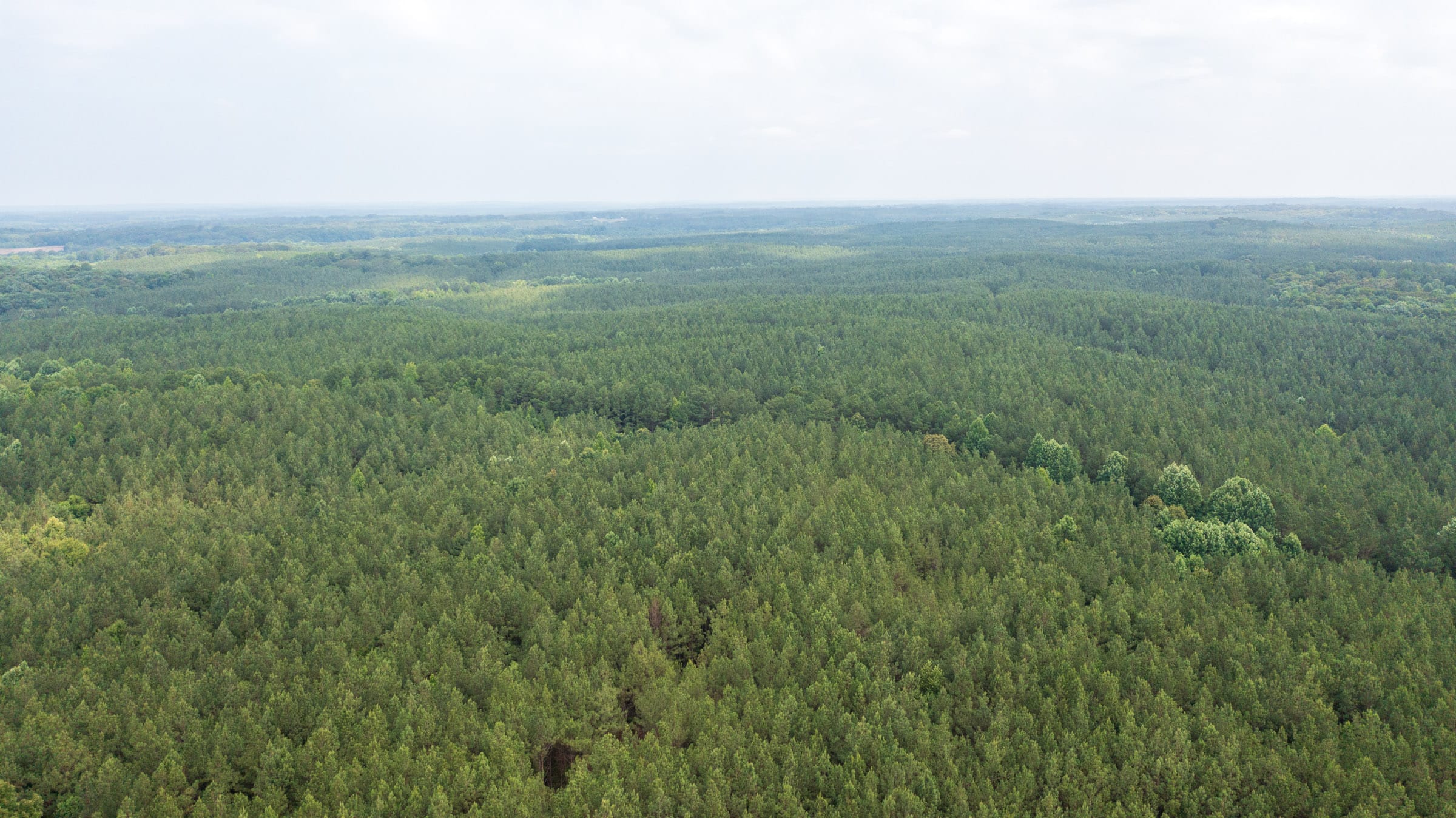 Whiskey Ridge Tract 68 photo 15
