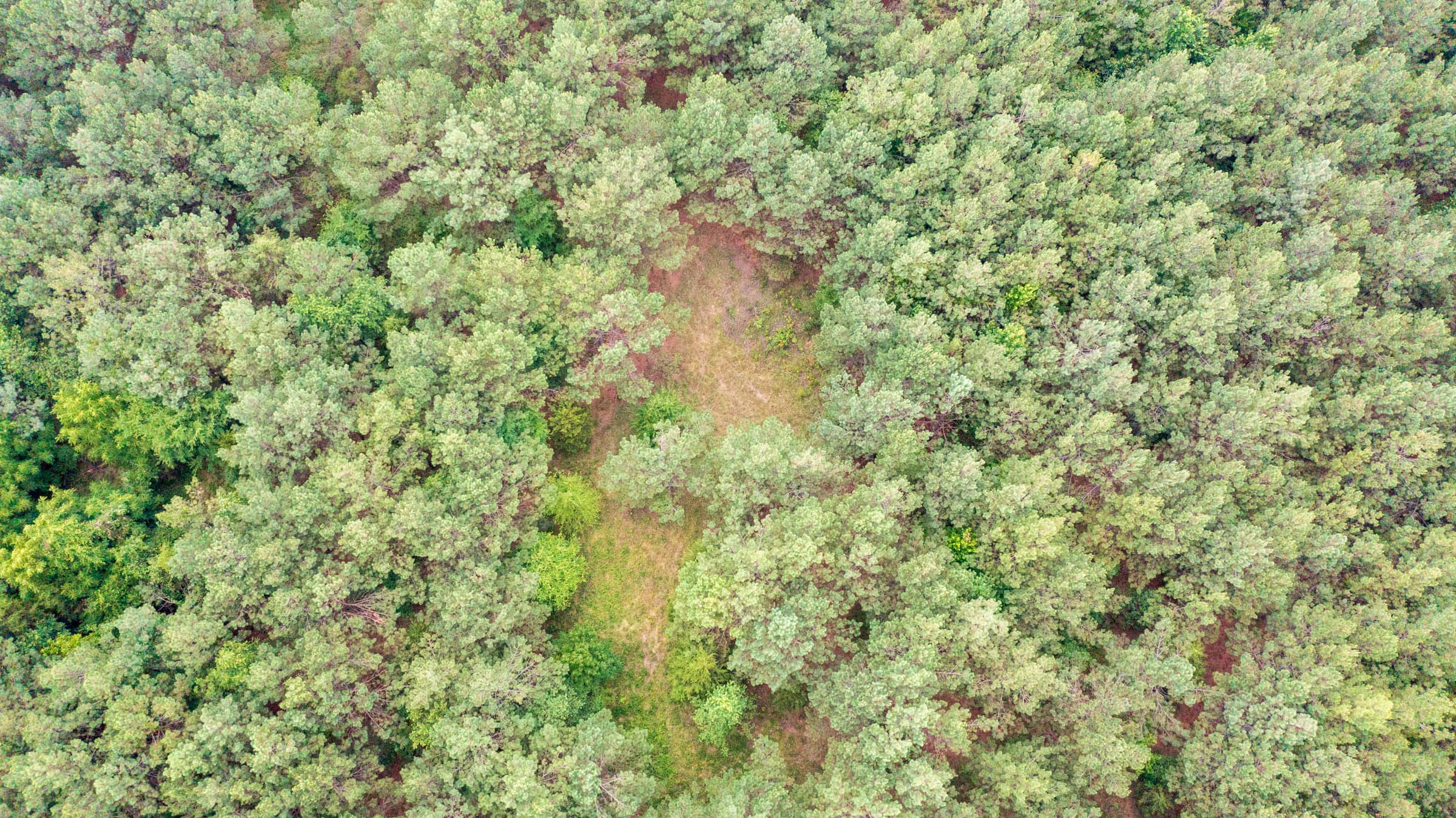 Whiskey Ridge Tract 68 photo 5