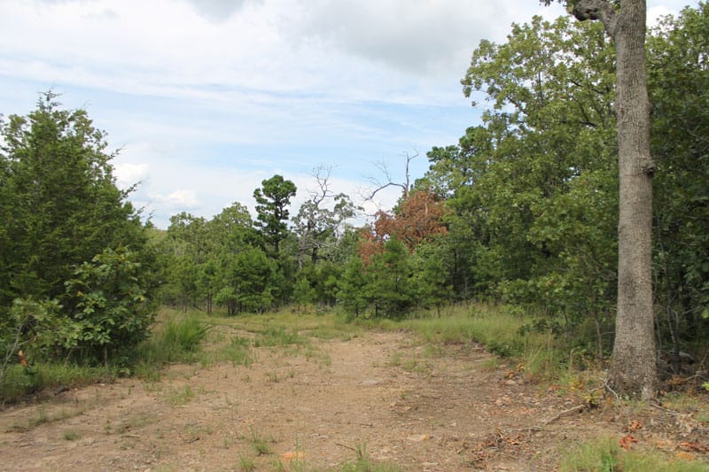 Trophy Ridge Phase III Tract 16 photo 1