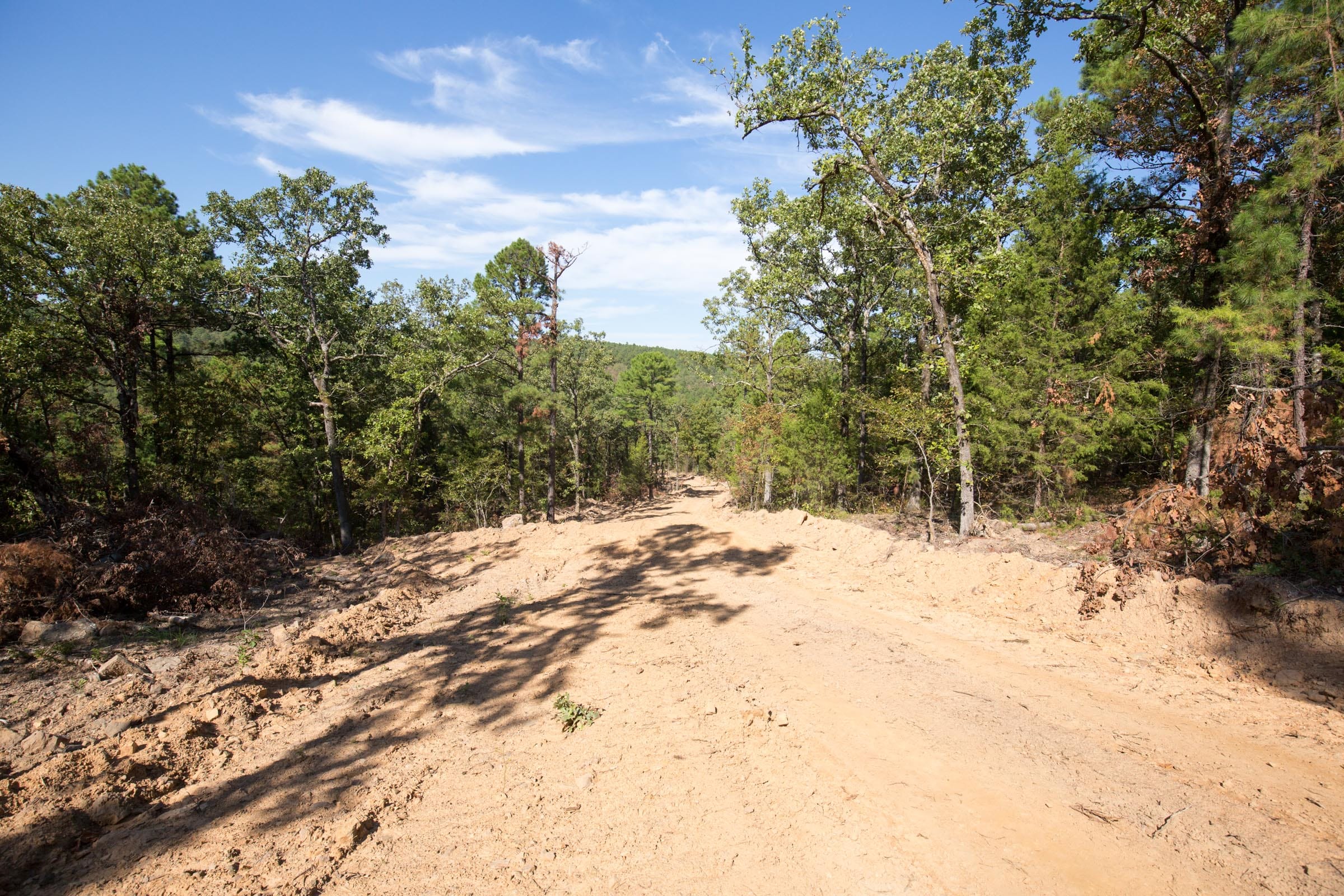 Stone Bridge Phase I Tract 49 photo 6