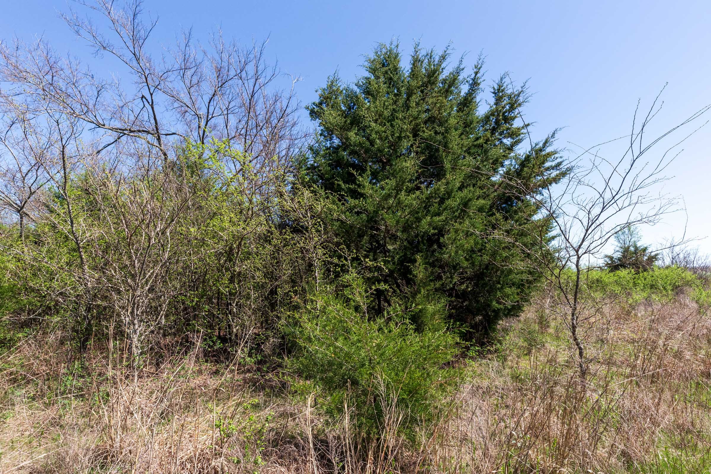 Prairie Grove Tract 10 photo 2