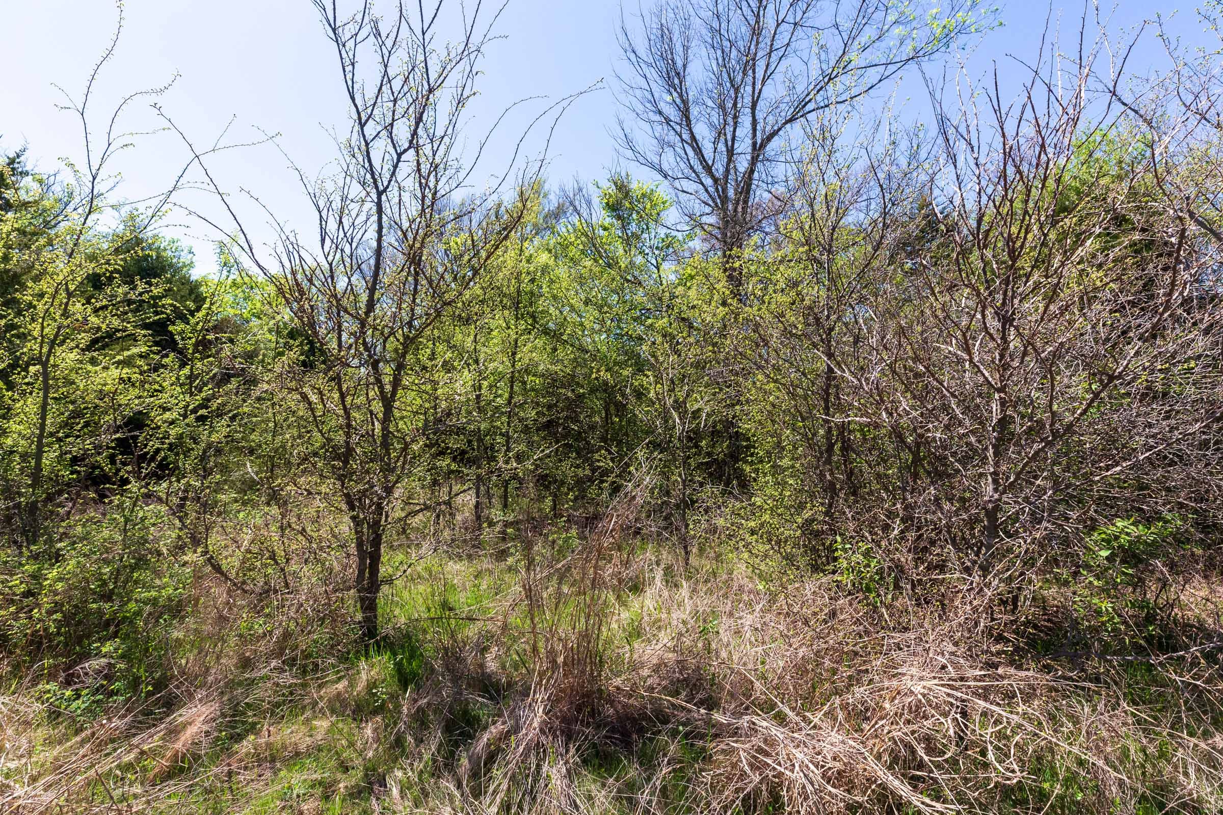 Prairie Grove Tract 10 photo 4