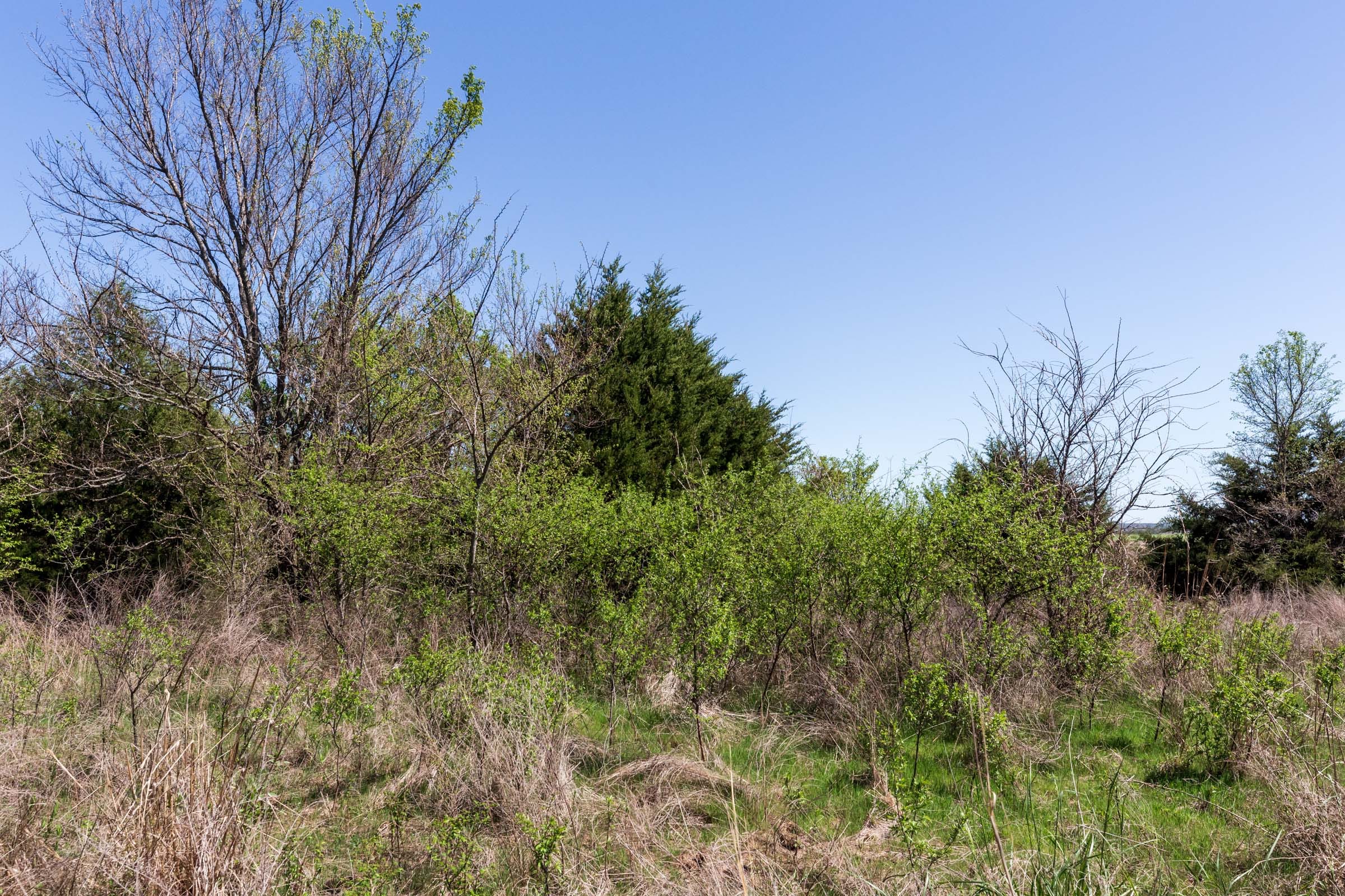 Prairie Grove Tract 10 photo 5