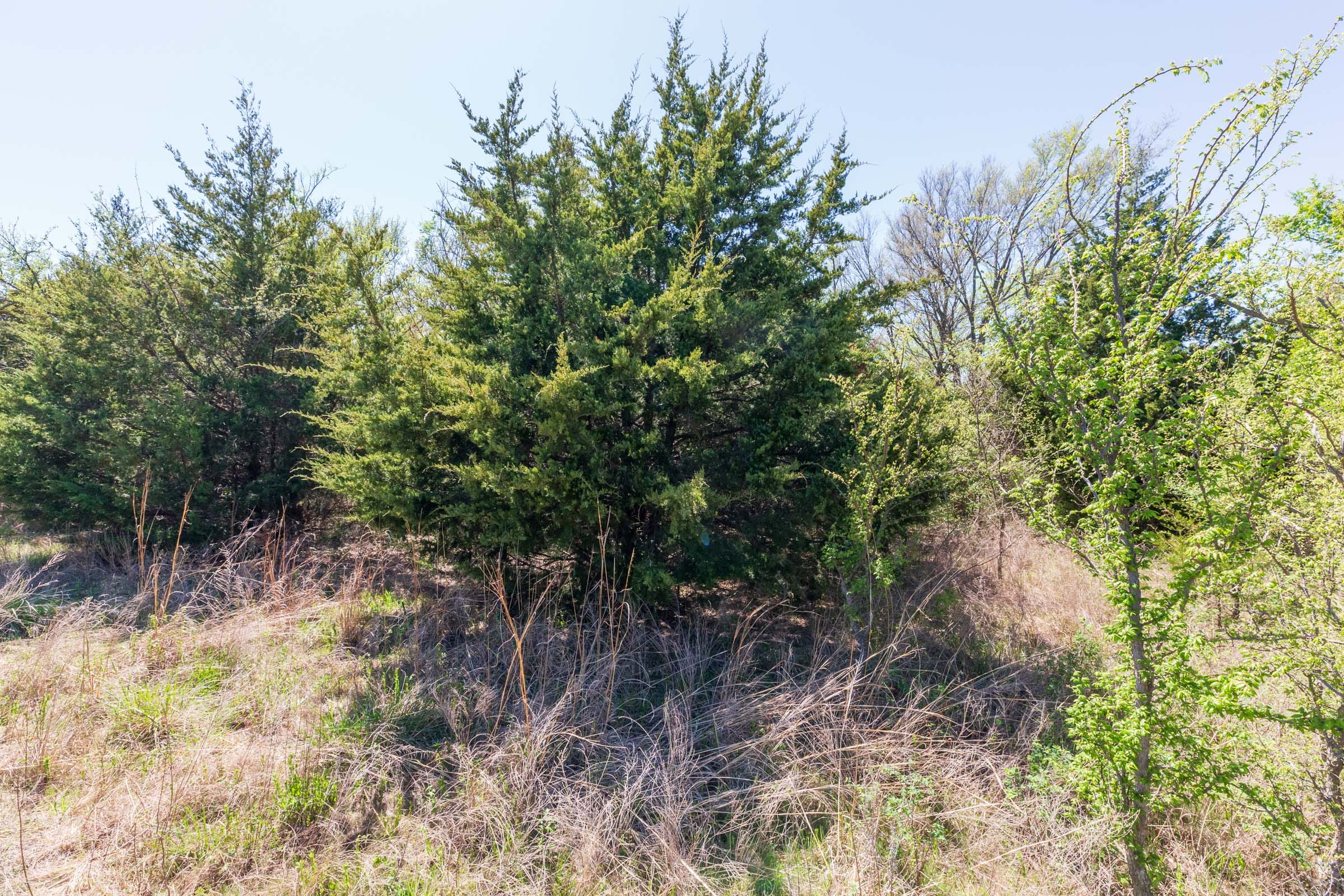 Prairie Grove Tract 10 photo 6