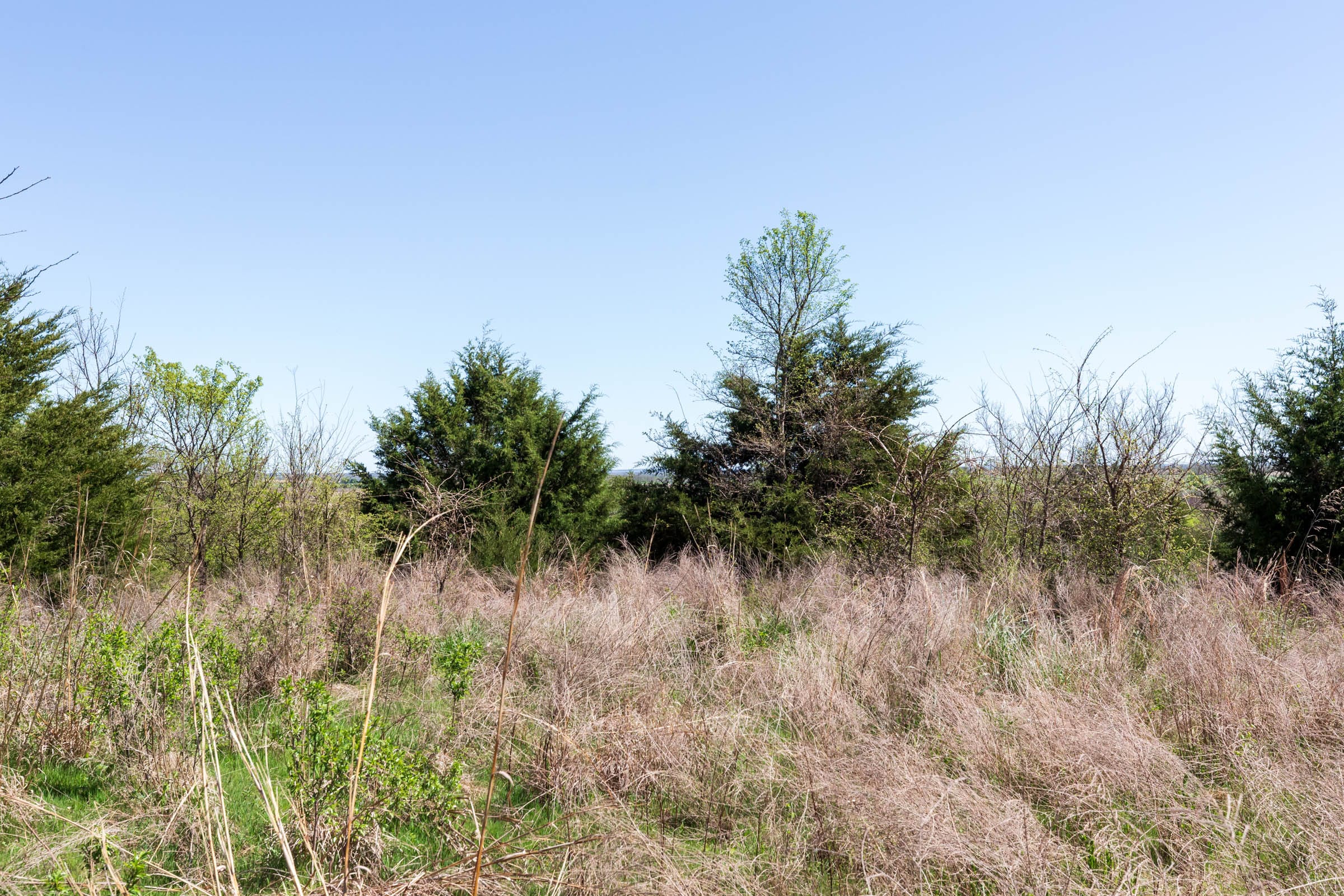 Prairie Grove Tract 10 photo 8