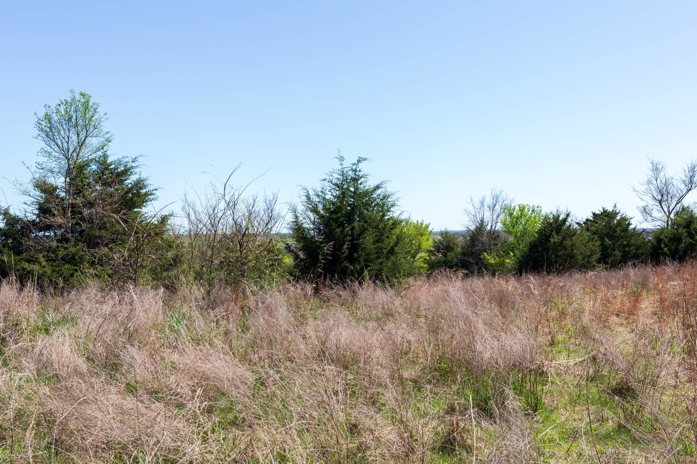 Prairie Grove Tract 10 photo 3