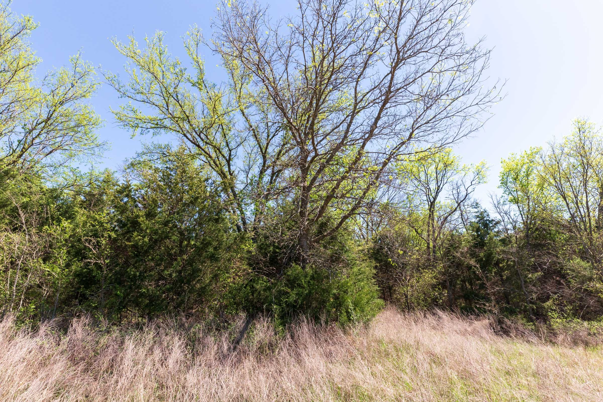 Prairie Grove Tract 10 photo 9
