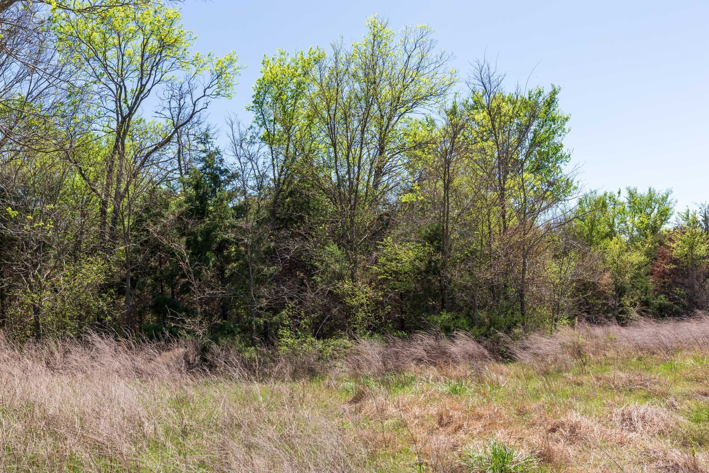 Prairie Grove Tract 10 photo 10
