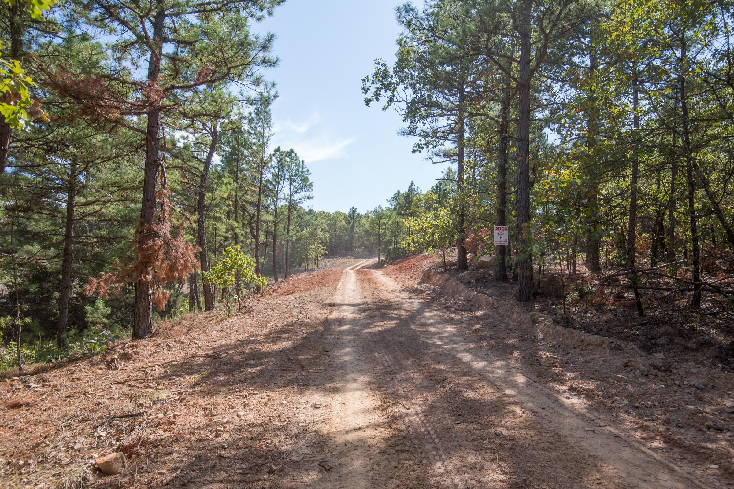 Stone Bridge Phase I Tract 54 photo 11