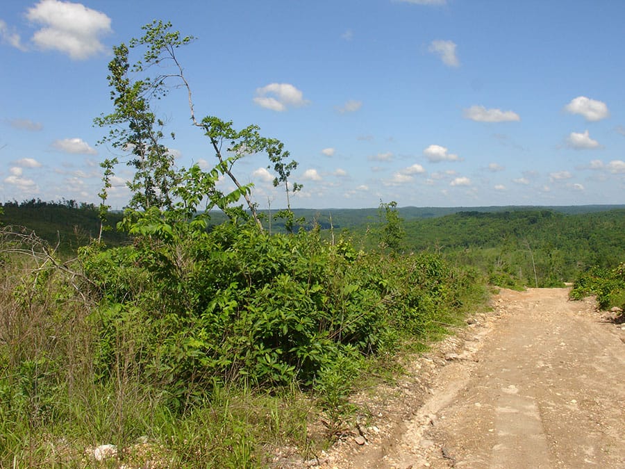 Antler Ridge Tract 33 photo 1