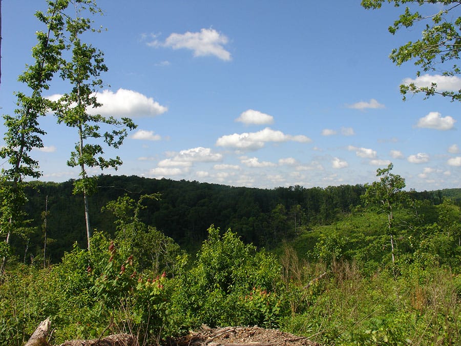 Antler Ridge Tract 33 photo 2