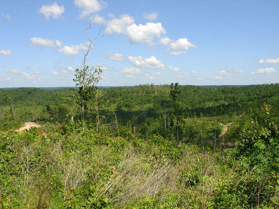 Antler Ridge Tract 33 photo 6