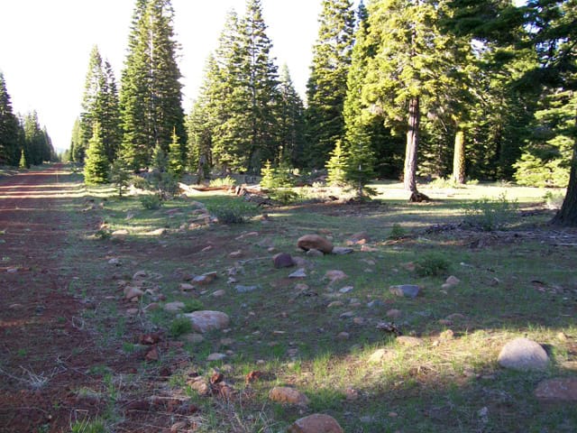 California Pines Tract 20 photo 11
