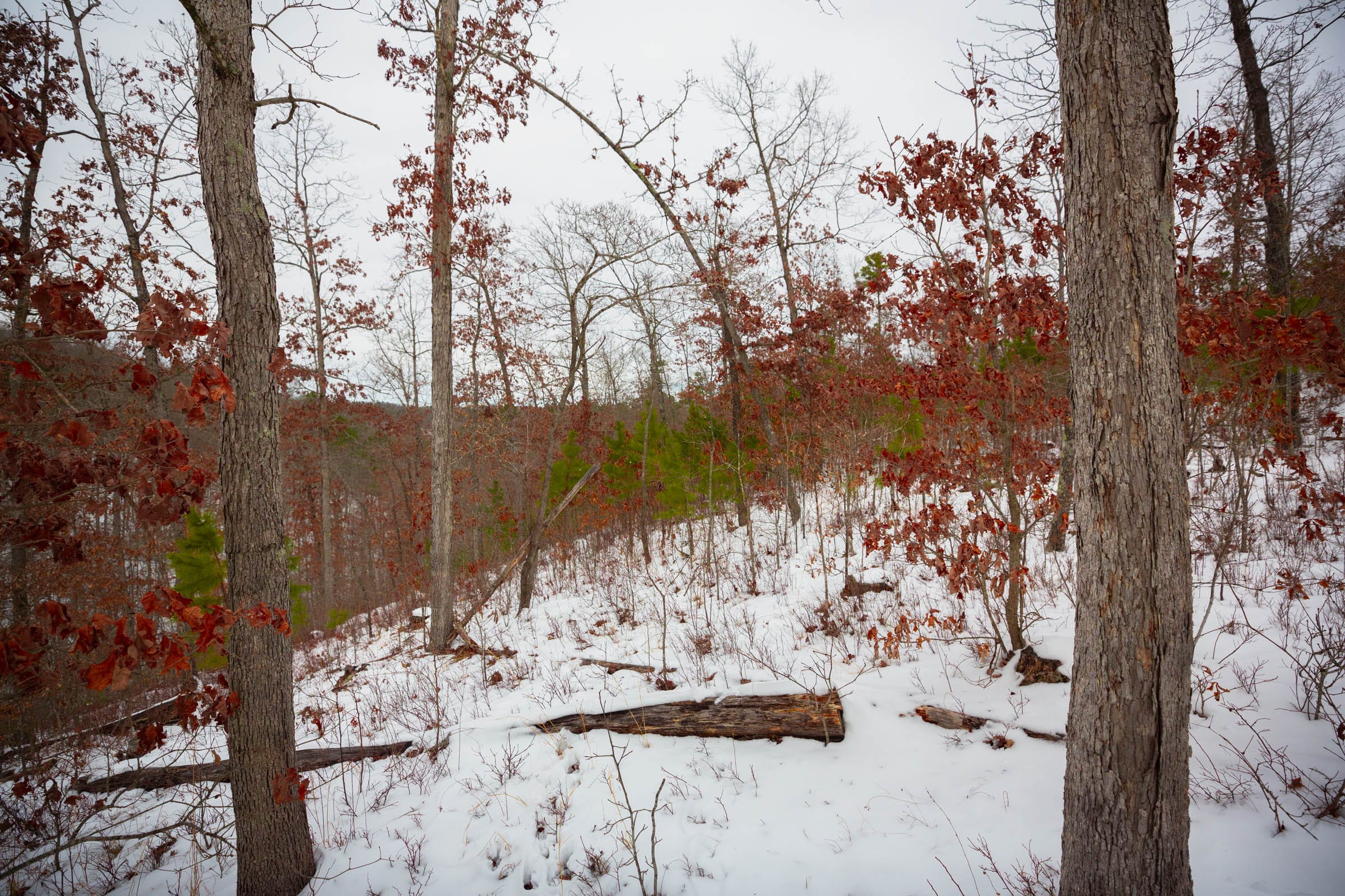 Sleepy Hollow Phase I Tract 17 photo 12