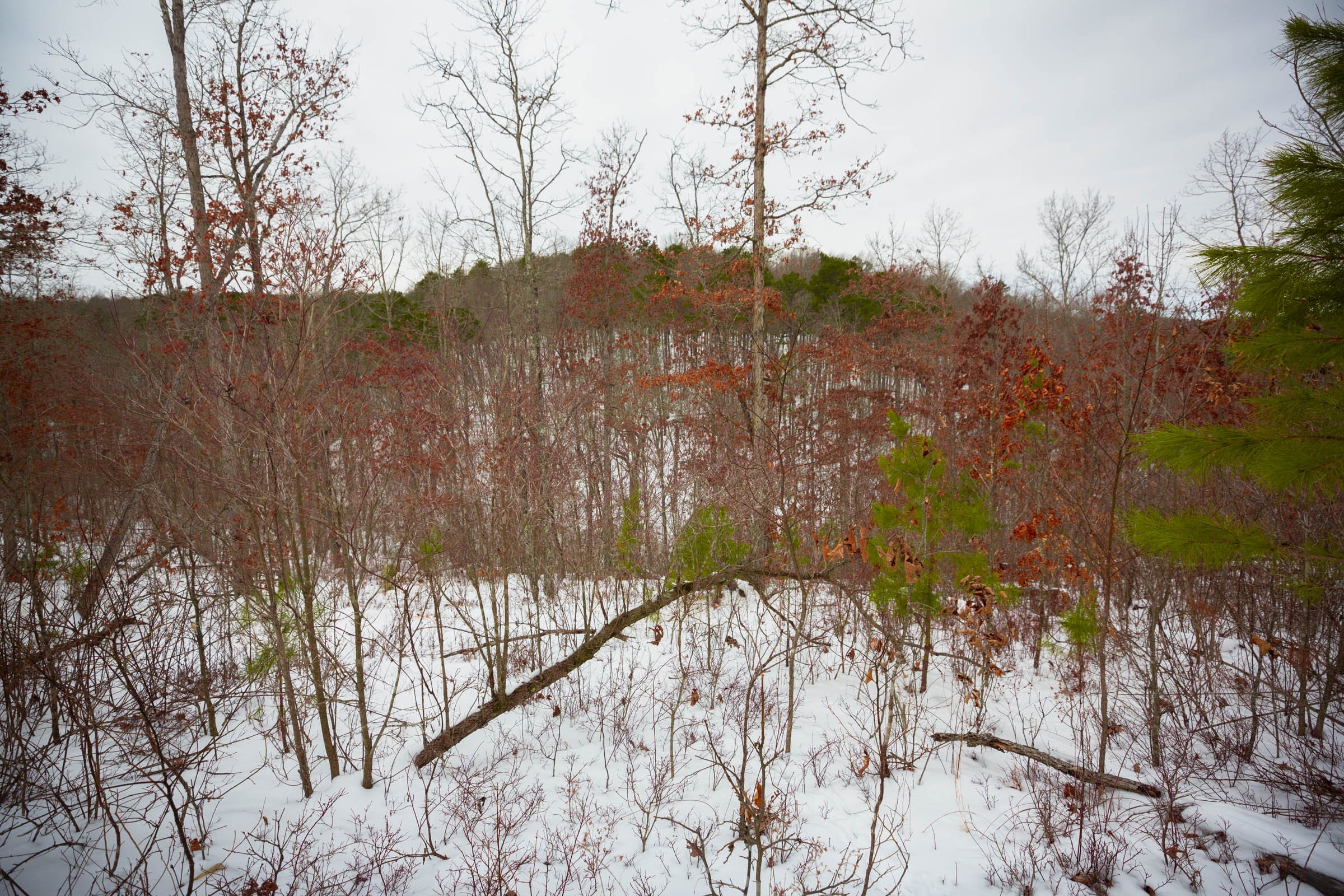 Sleepy Hollow Phase I Tract 17 photo 11