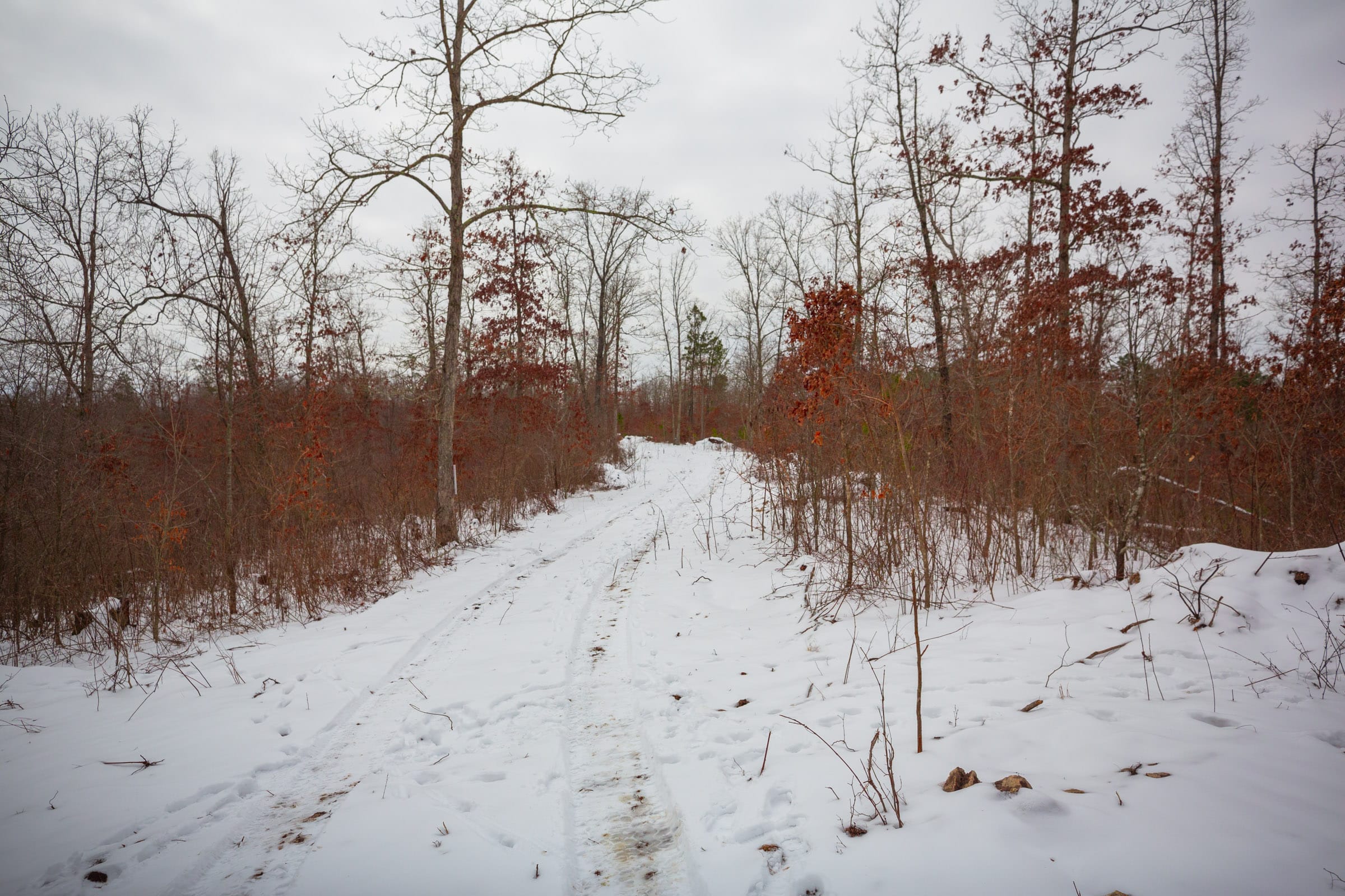 Sleepy Hollow Phase I Tract 17 photo 2