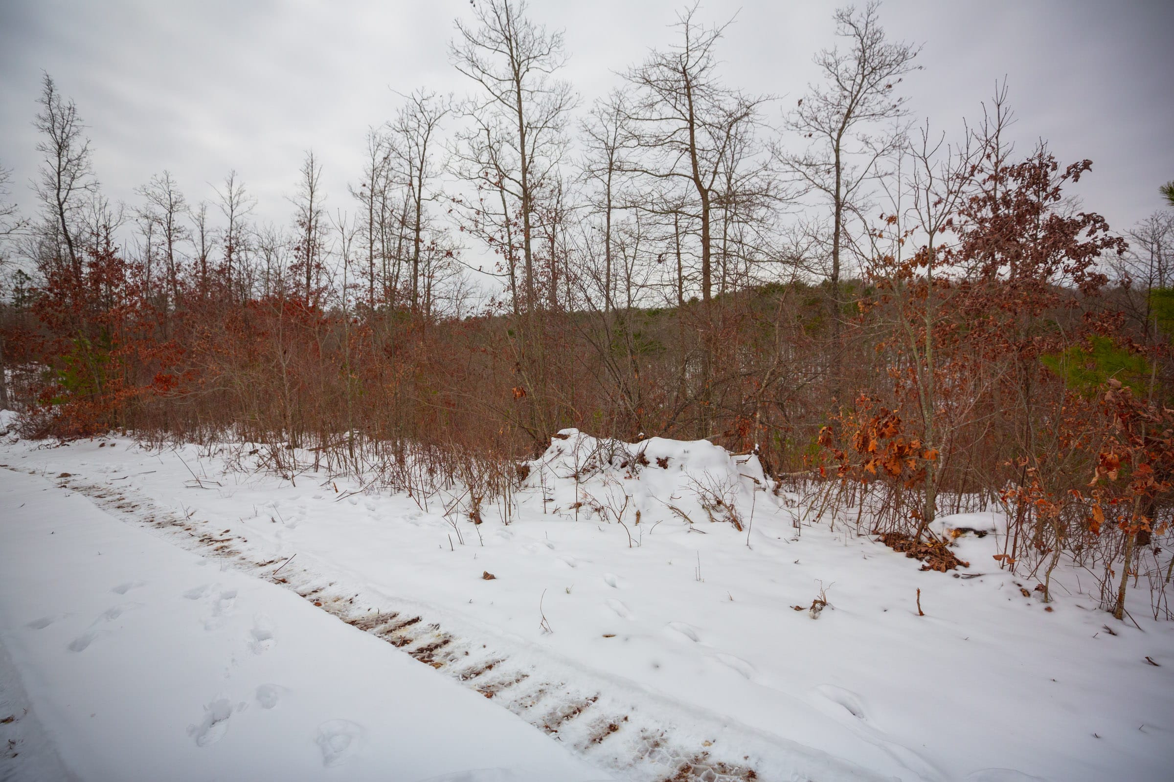 Sleepy Hollow Phase I Tract 17 photo 9