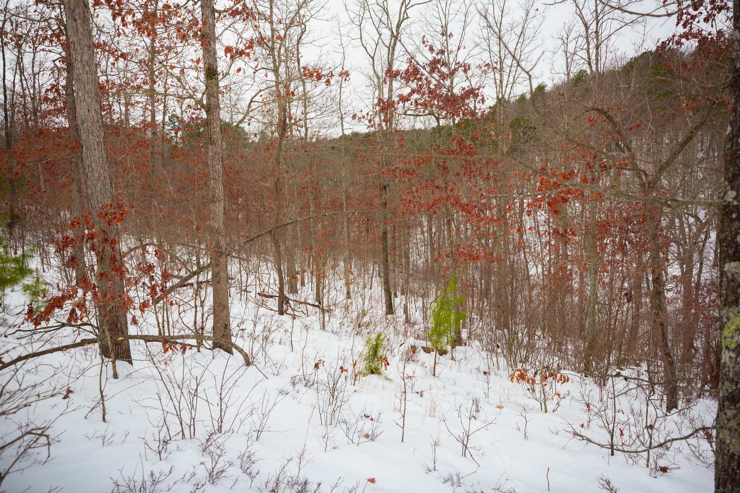 Sleepy Hollow Phase I Tract 17 photo 1