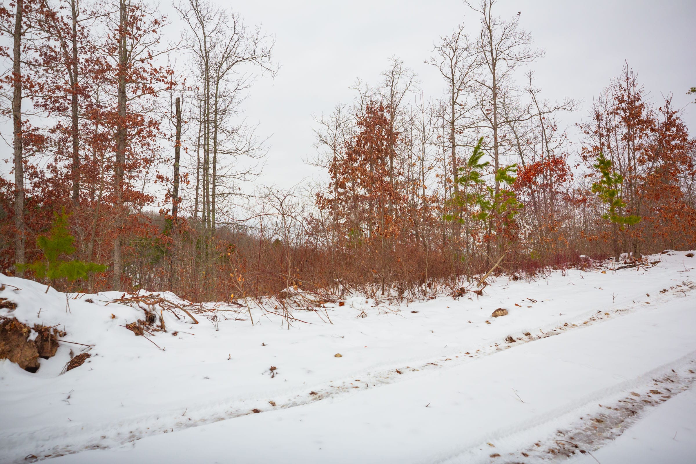 Sleepy Hollow Phase I Tract 17 photo 7