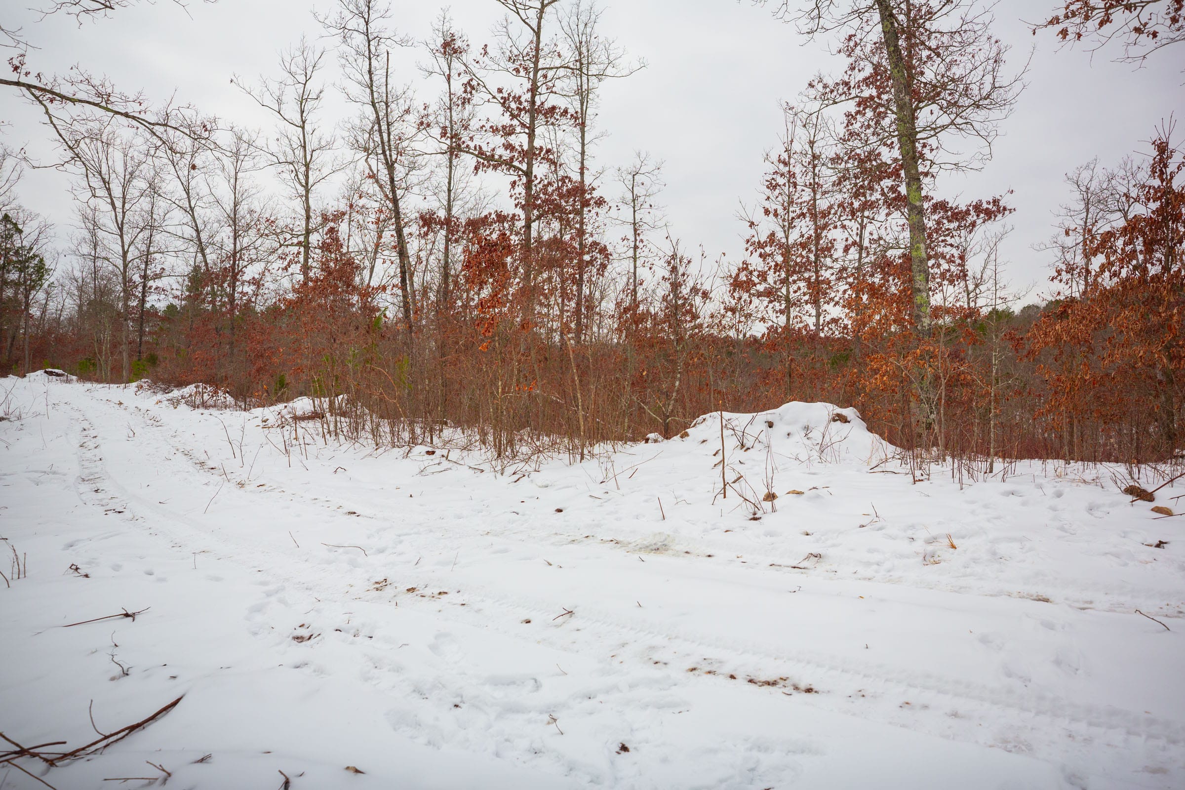 Sleepy Hollow Phase I Tract 17 photo 6
