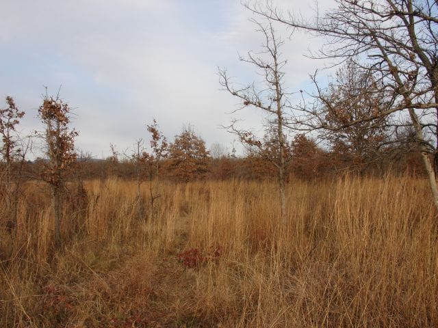 Mountain View Ranch Tract 2 photo 5