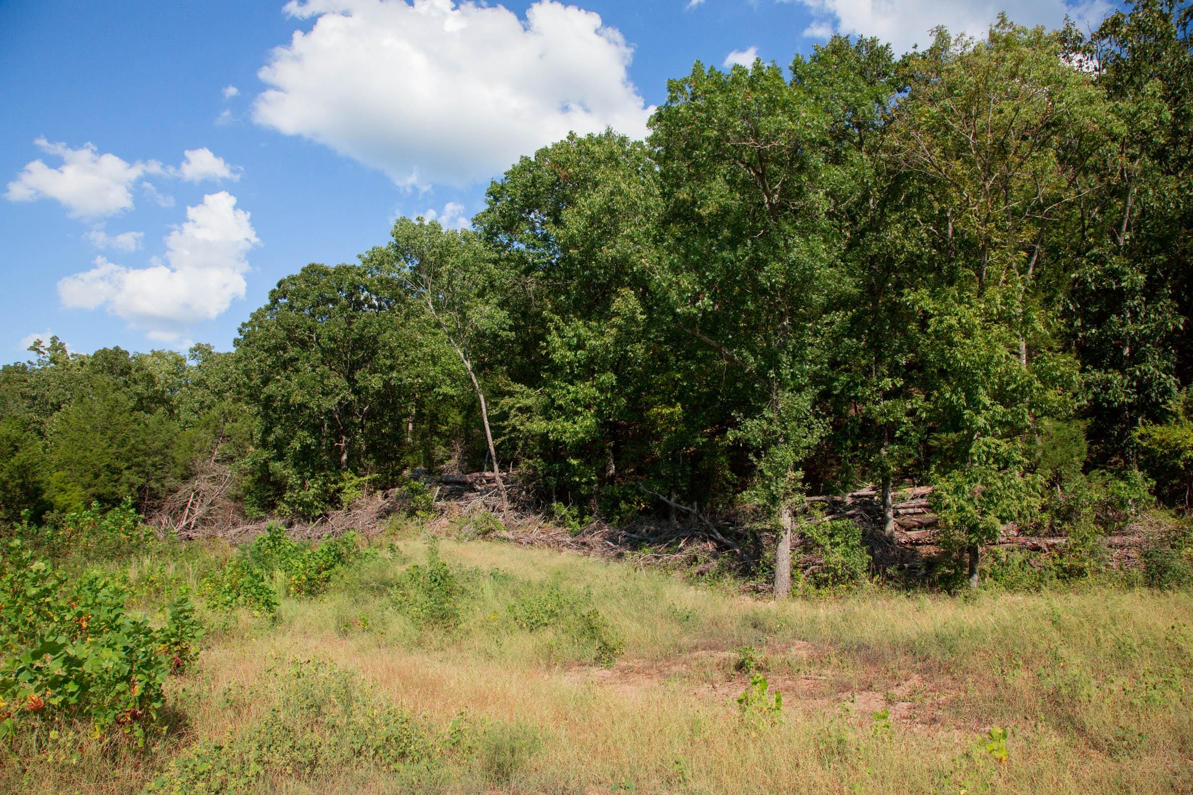 Stone Creek Phase II Tract 265 photo 3