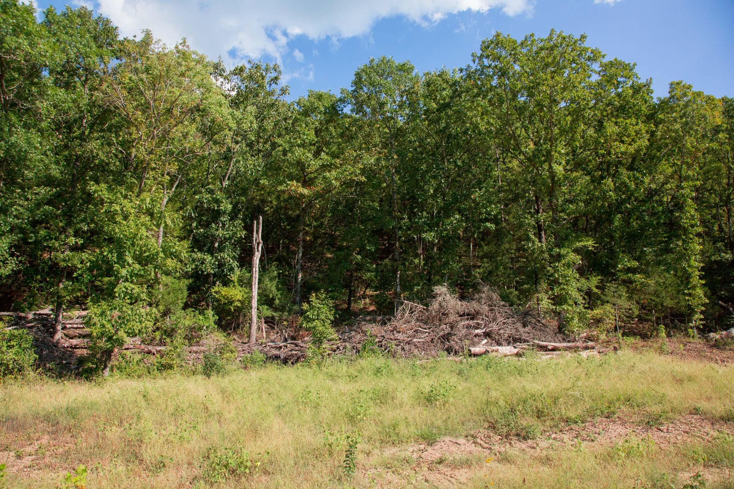 Stone Creek Phase II Tract 265 photo 4