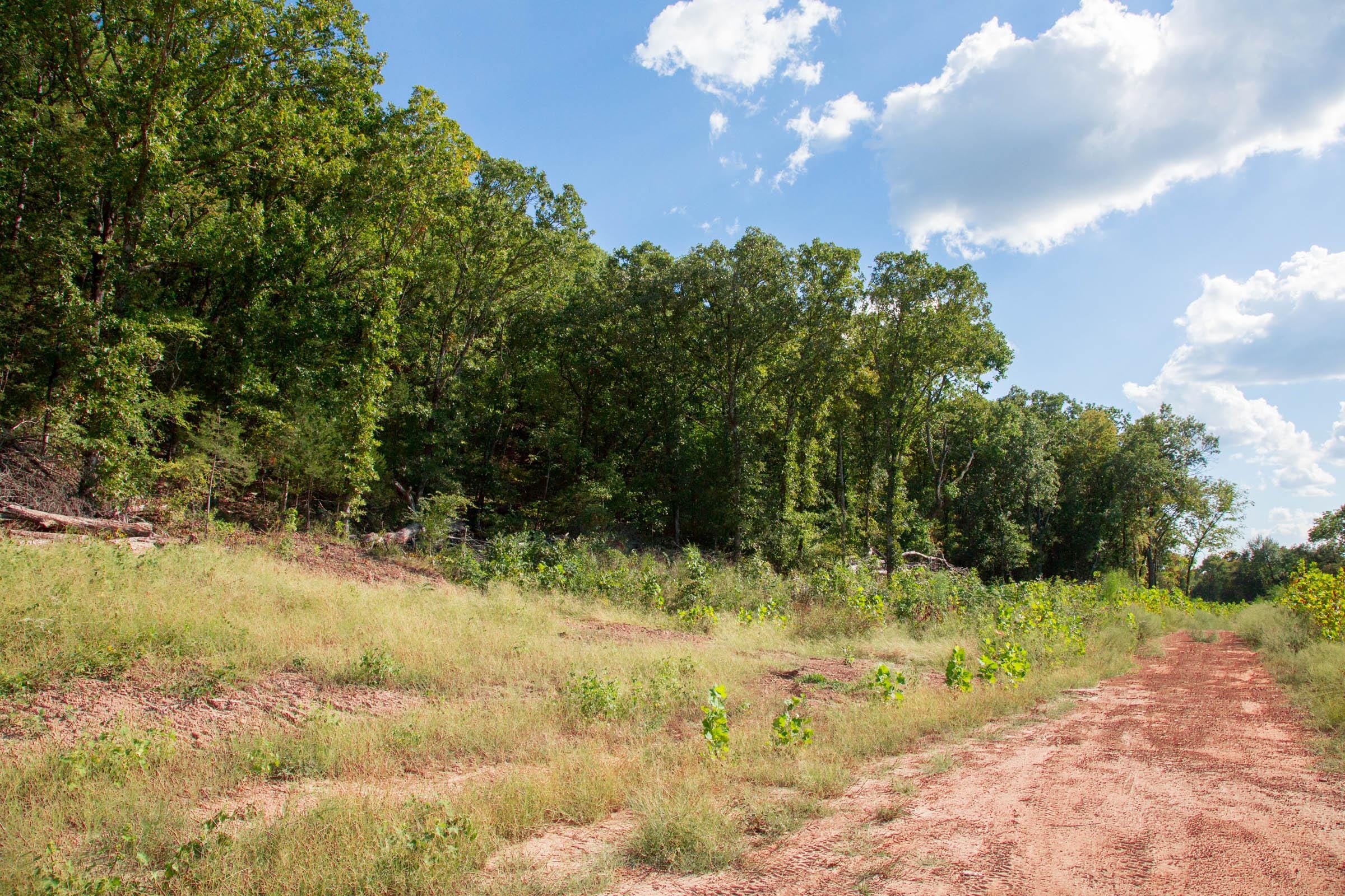 Stone Creek Phase II Tract 265 photo 5